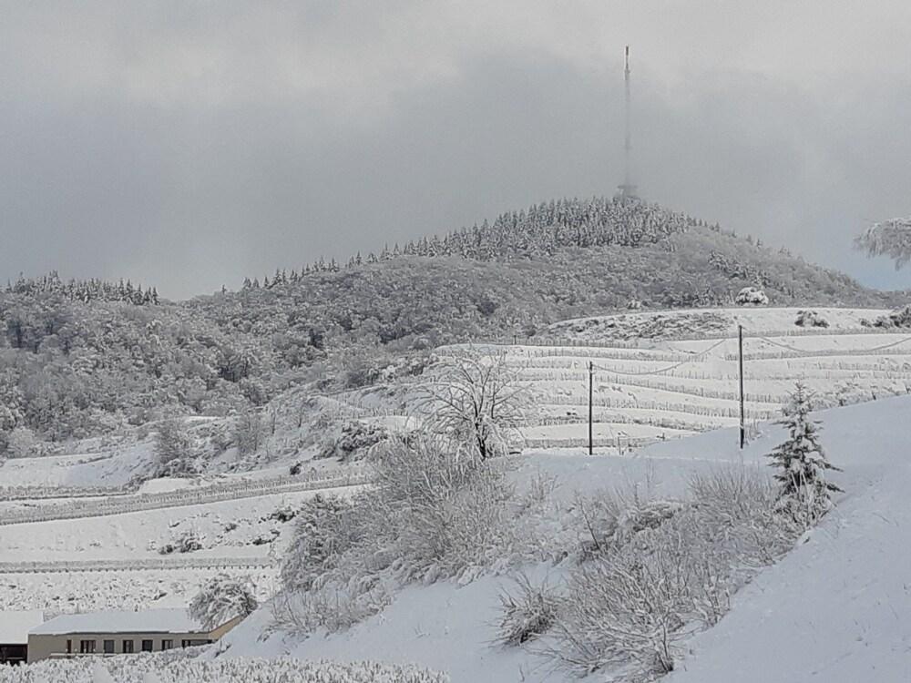 Hotel-Restaurant Rebstock