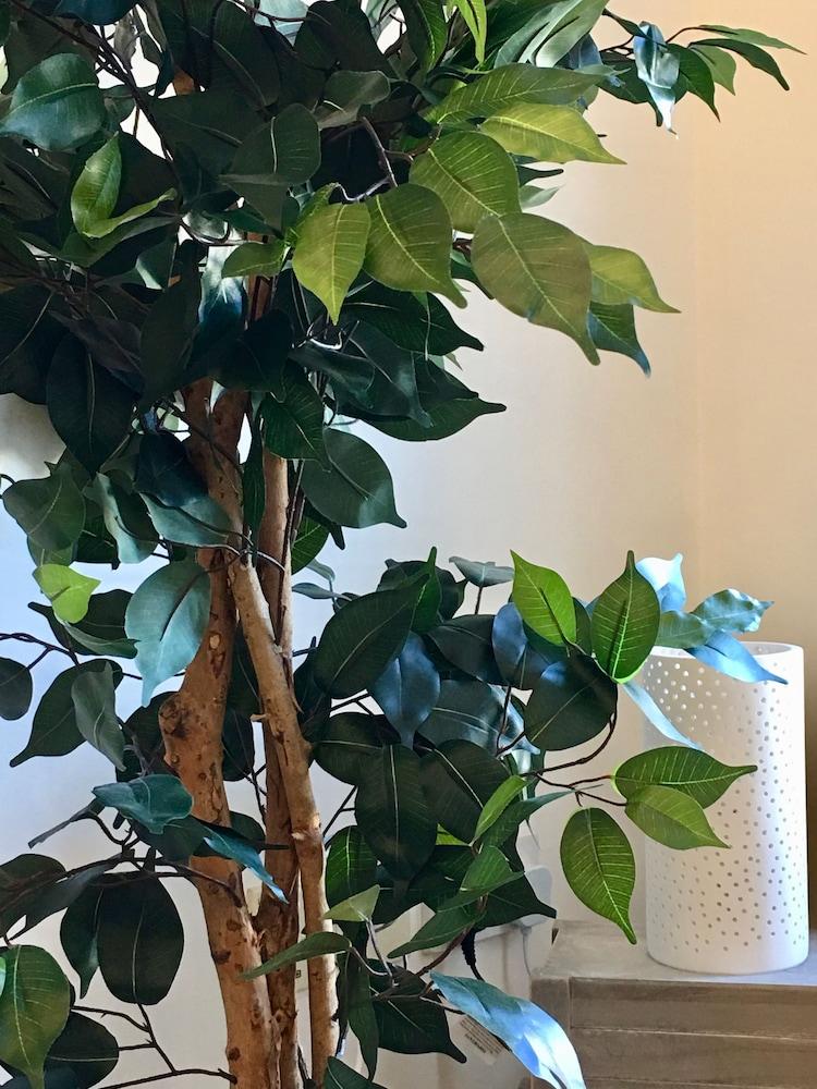 City Pad with balcony and secure parking