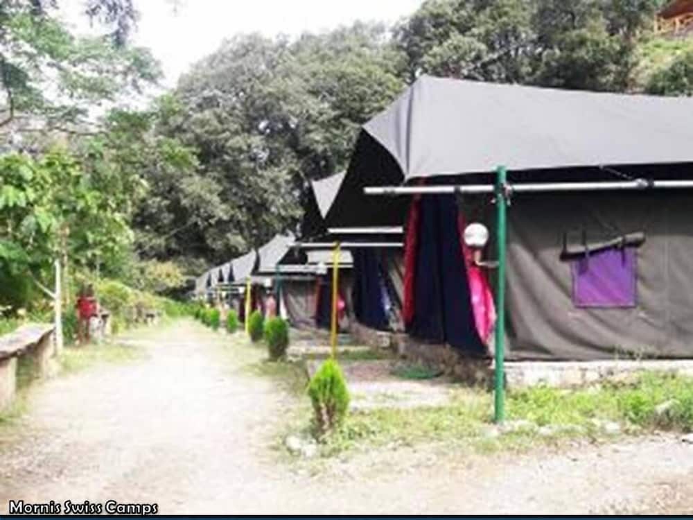 Mornis Wood Paradise