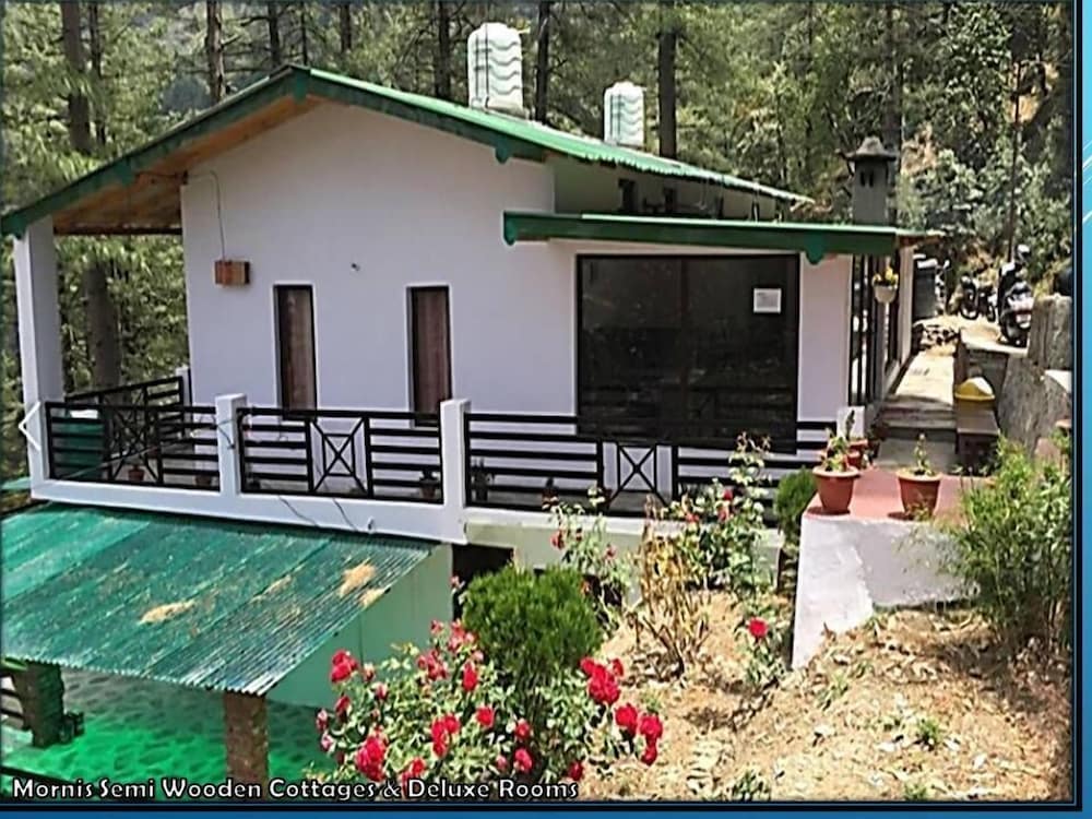 Mornis Wood Paradise