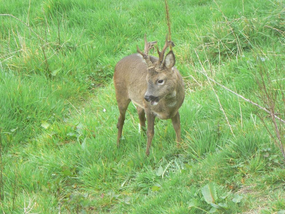 Old Keepers Cottage B&B