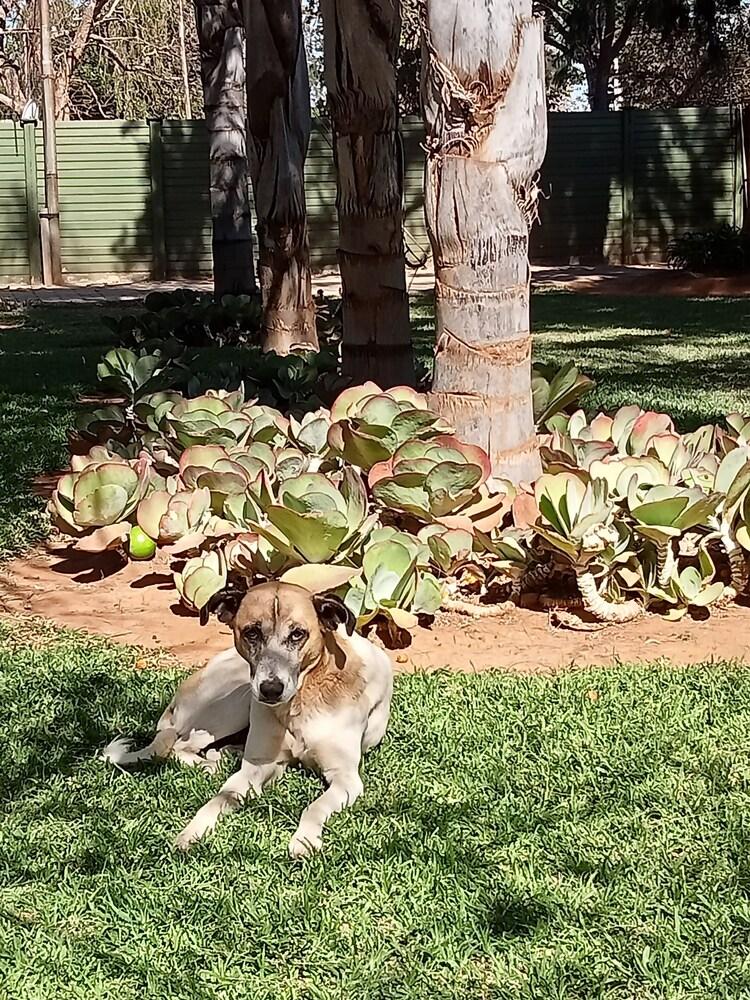 Little Rose Leaf Lodge