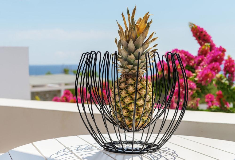 Aegean Paradiso Vacation Club Adults Only