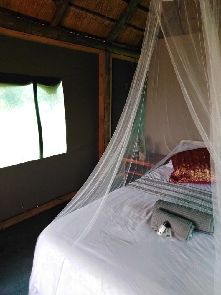 Buffalo Tented Lodge