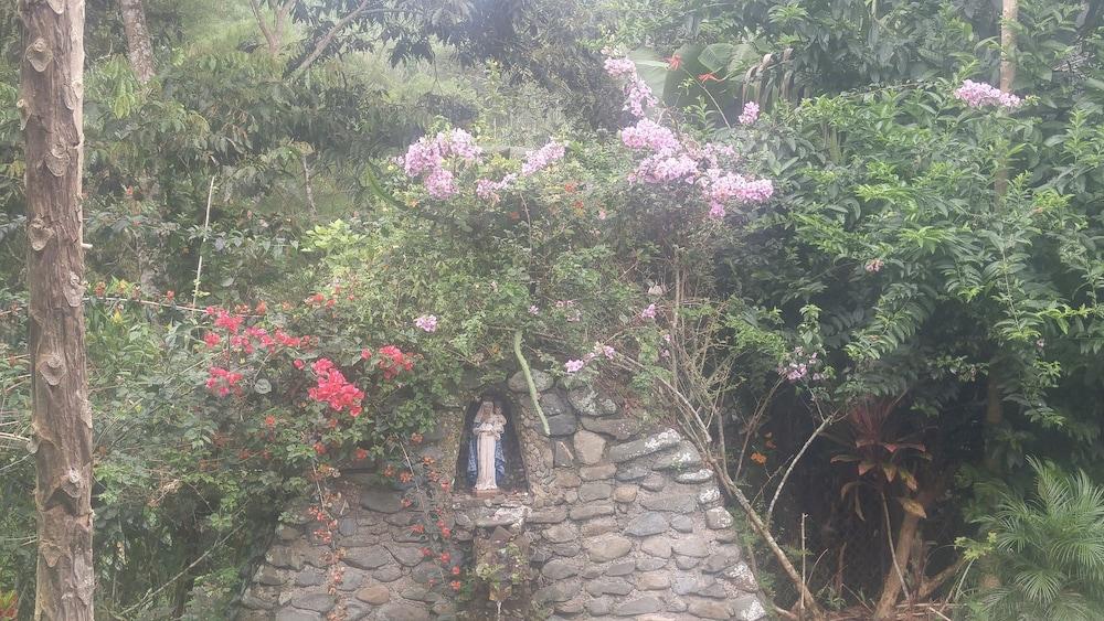 Finca De Buen Consejo - Hostel