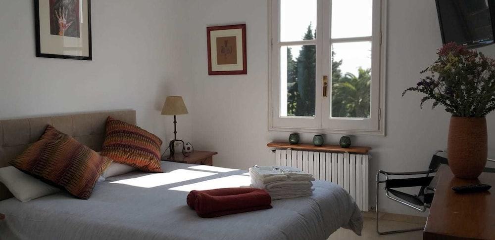 Gallo Colorao - Adults Only