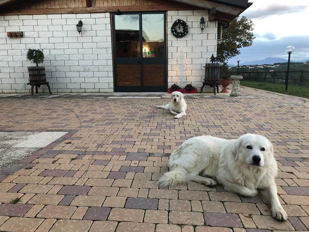 Agriturismo Collecera