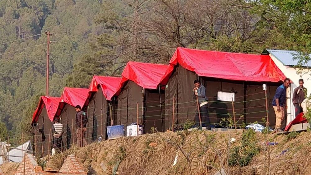 Camp Nirmit By Royal Collection