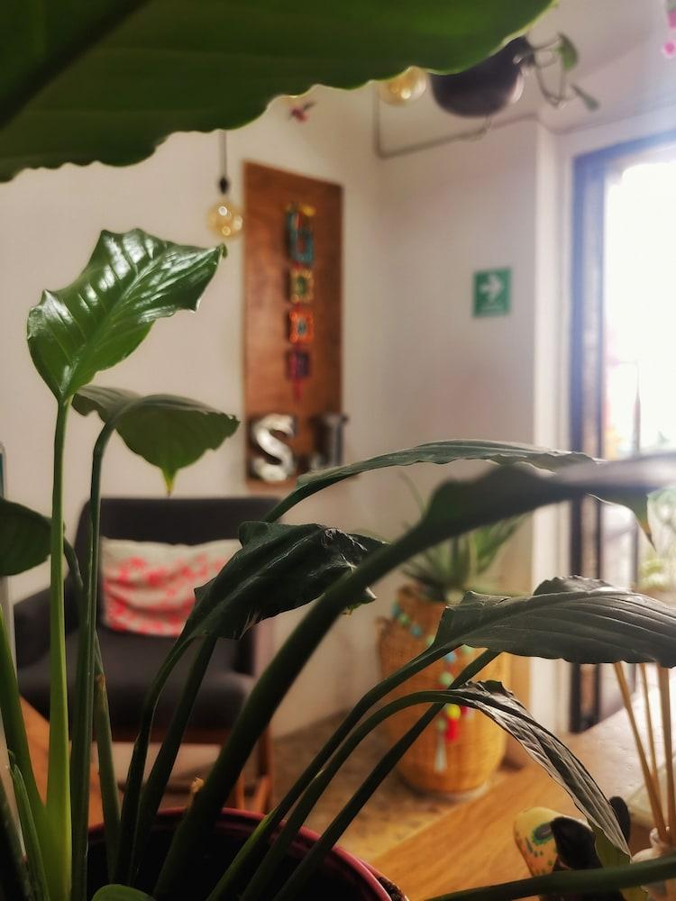 Santa Josefita Bed & Breakfast