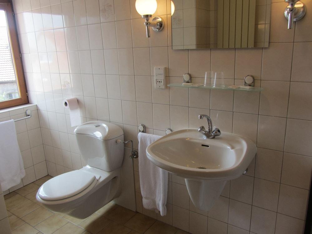 Hôtel-Restaurant Le Brochet