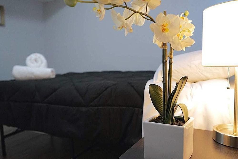 The Karlov Connection - Ohare Wrigley Gateway