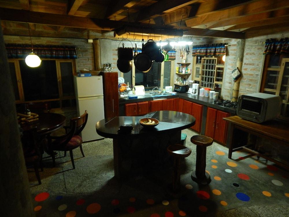 Dogs and Fish Dream Land