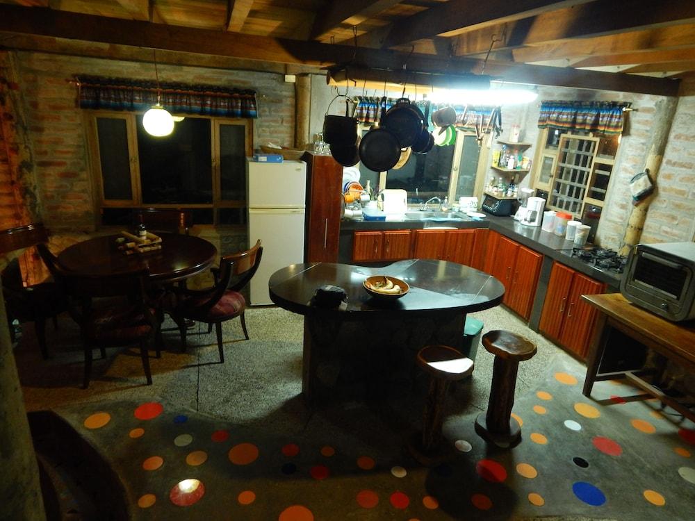 Dogs and Fish Dream Land