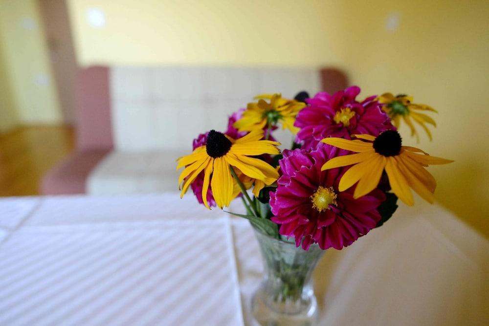 Guest House Koprivnik