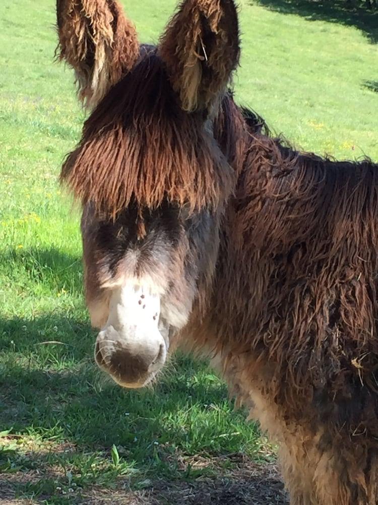 Ecolodge Mombret Haut