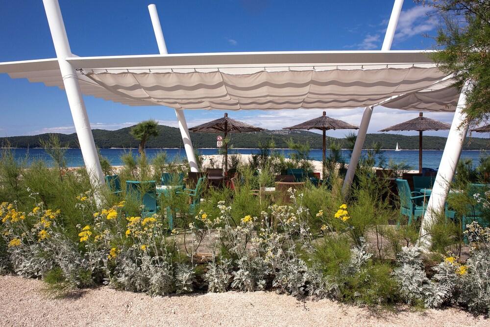 Dalmatian Star Homes