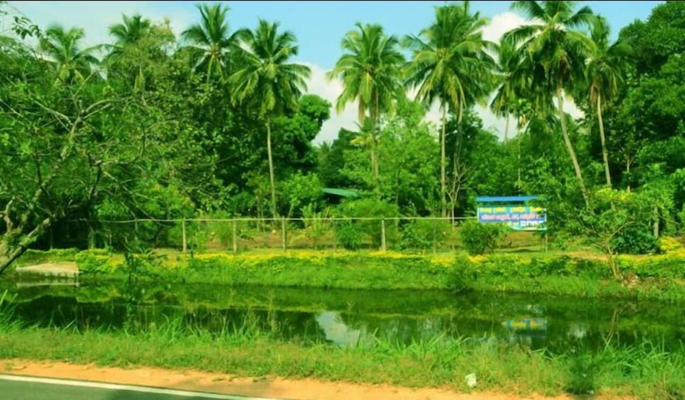 The Senaro Holiday Inn