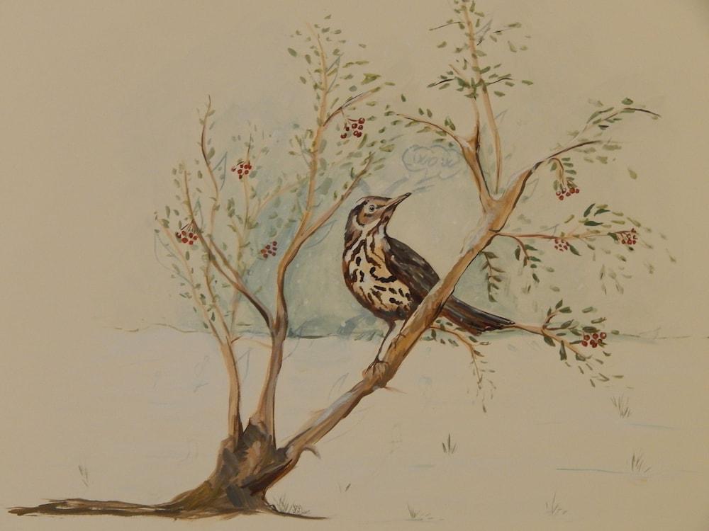 Agriturismo B&B La Selva