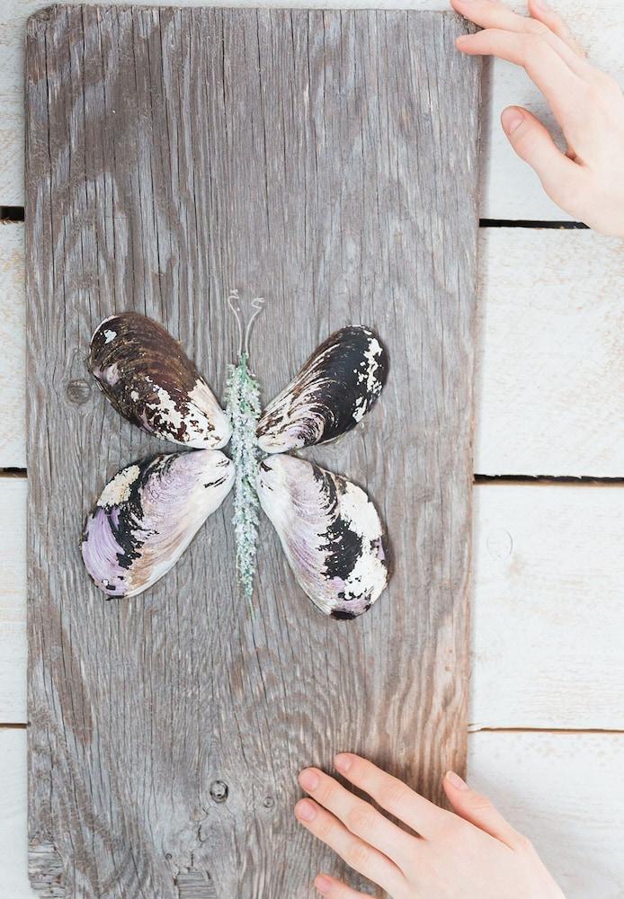 Lighthouse Lane Cottages