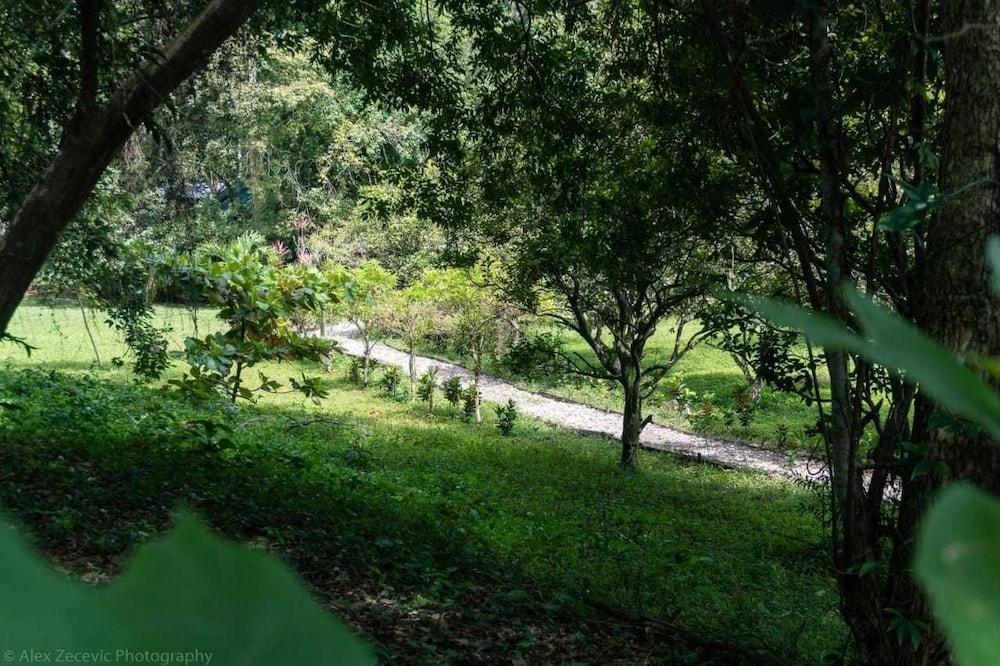 Chaltunha Hostel Flores Island