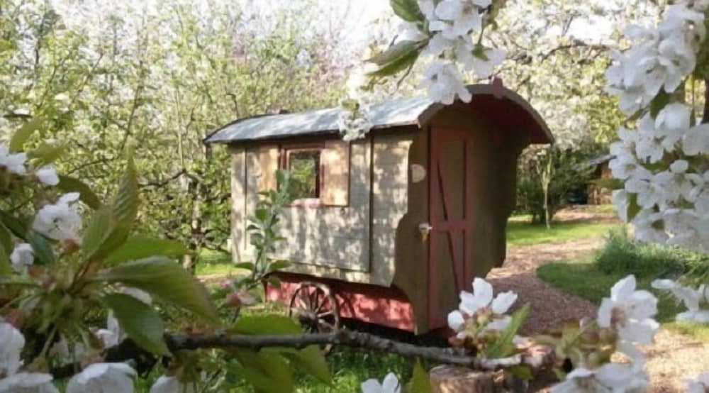 Schaeferwagenhotel-Campsite