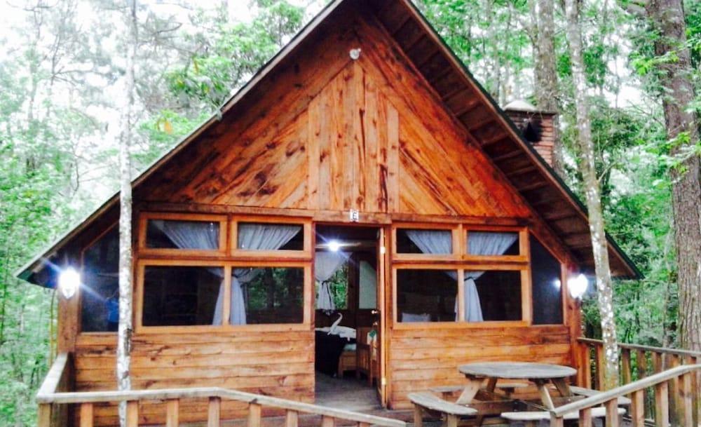 Siempre Verde Chiapas