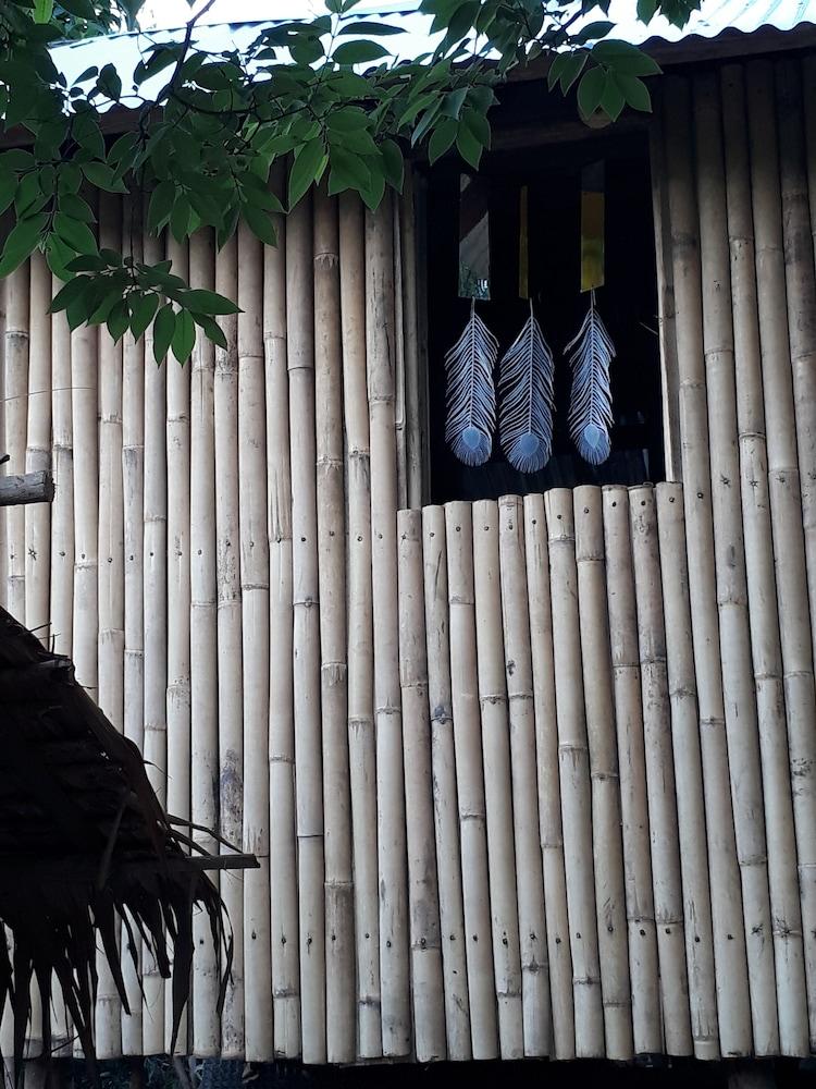 Singalong Nature Camphill Site