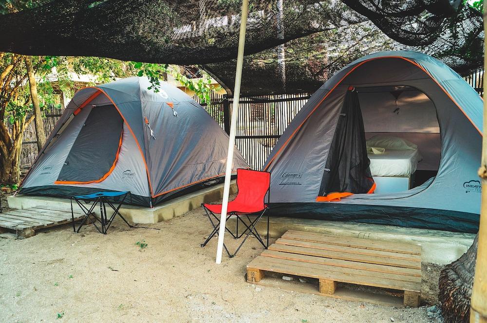 I Wanna Palomino - Hostel