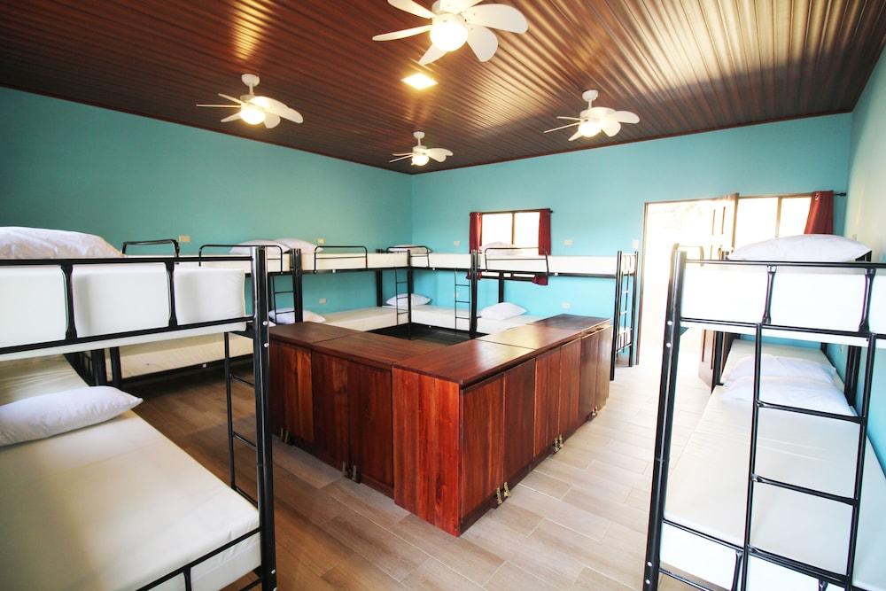 Téva Eco Retreat - Hostel