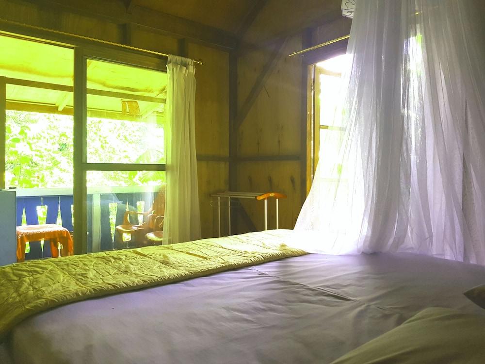 Thousand Hills Ketambe