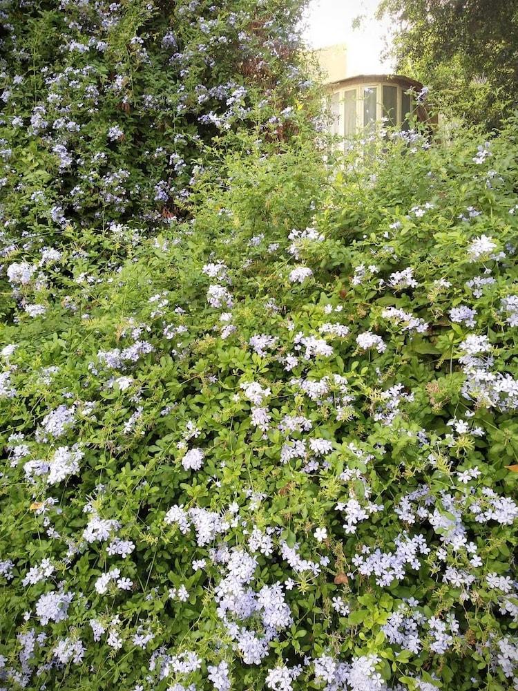 S&L  Near The Beach And The Rambam