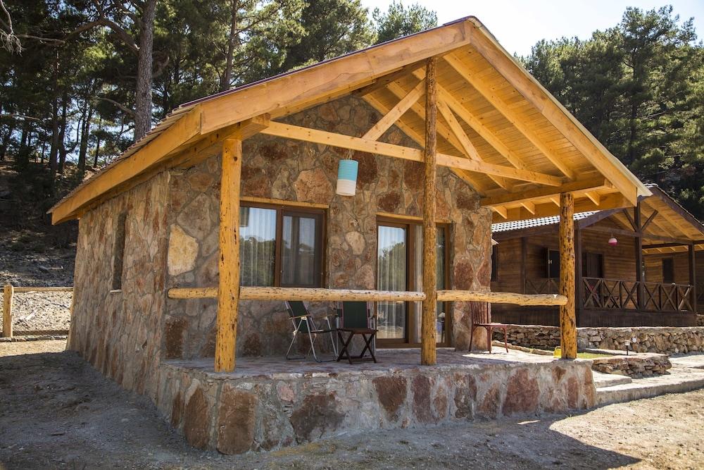 Babakamp Eco Ranch & Retreat