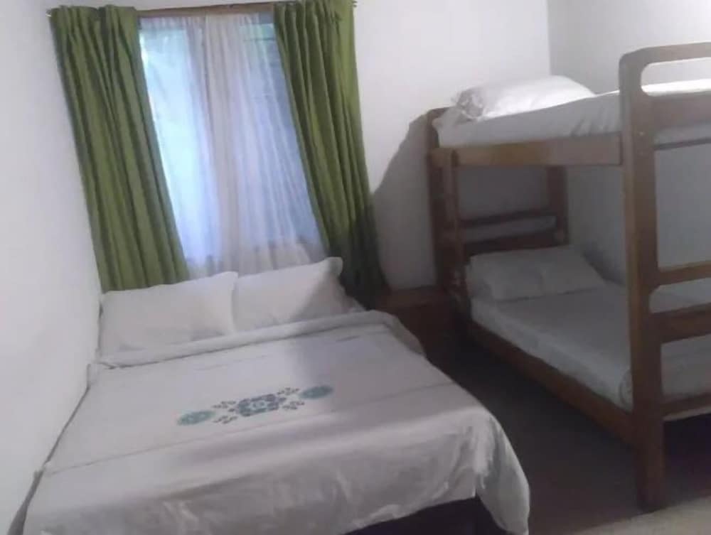 Palm Tree Hostal Medellin