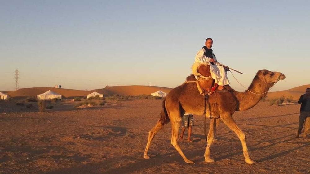 Camping Safari Laayoune