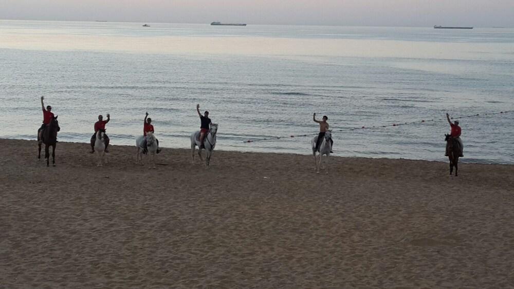 Atlitur Gumusdere Beach Camp