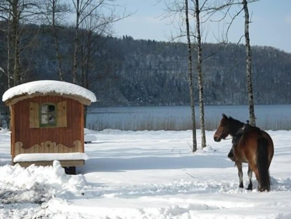Parc Animalier du Hérisson - Insolite