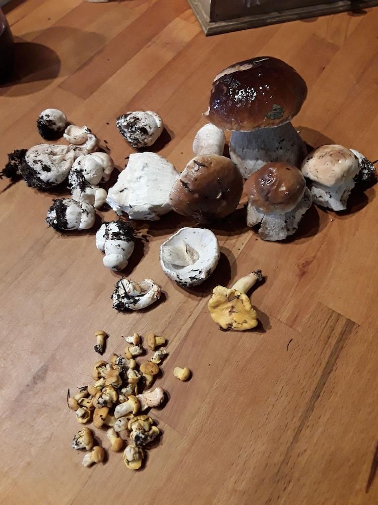 Chambre d'hôte la Fessille