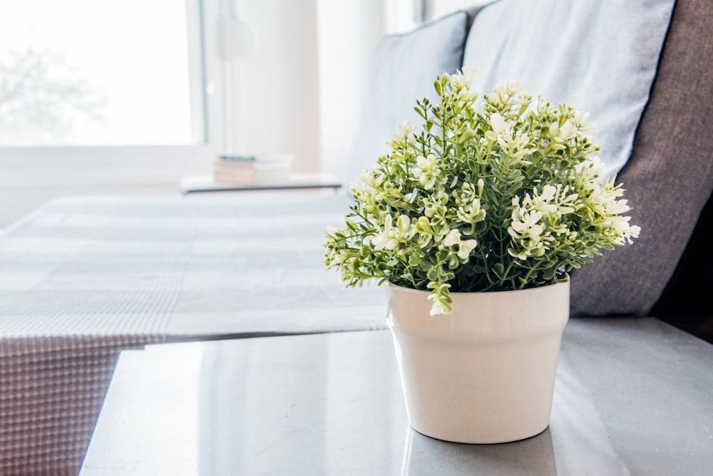 halu! Modern & Cozy Seafront Villa