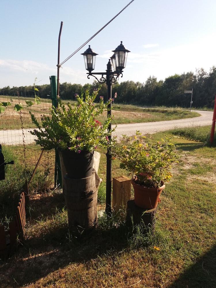 Dal Capitano di Nemo