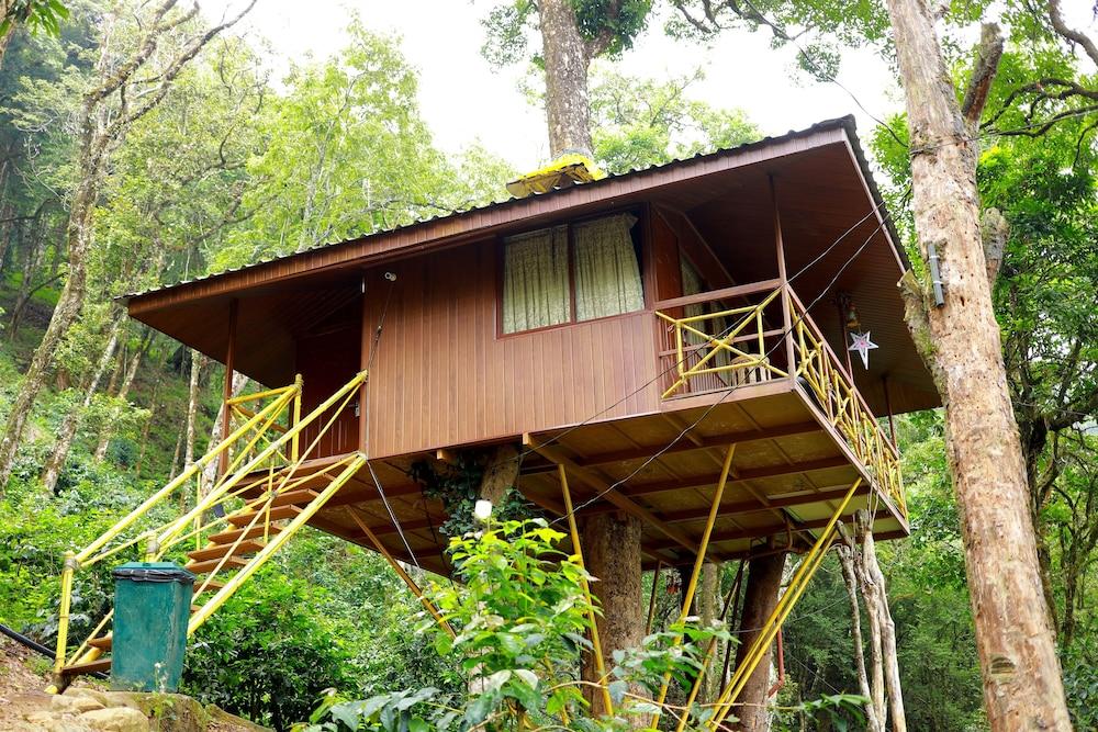 Seven Springs Resort