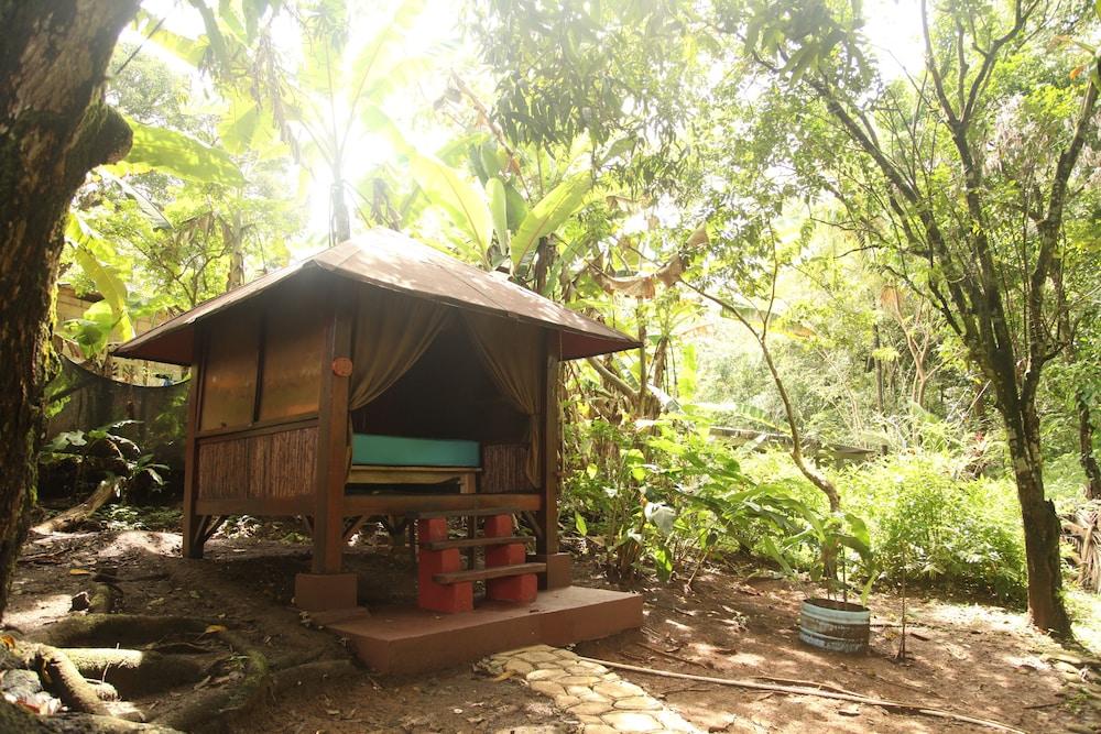 Tiki Lodge Bar & Restaurant - Hostel