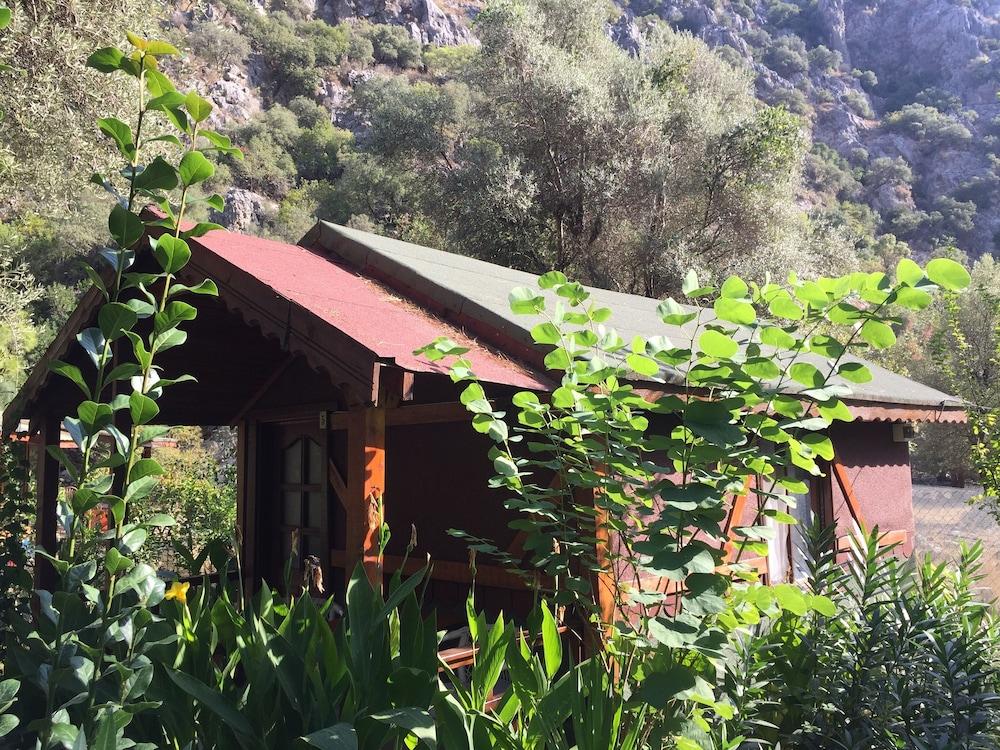 Canario Bungalows Pension