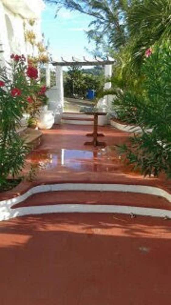 Château On Cotton Bay