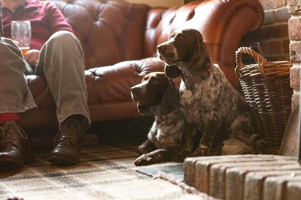 Strathcarron Camping