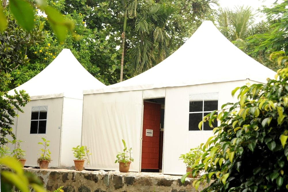 Coorg Jungle Kids Resort