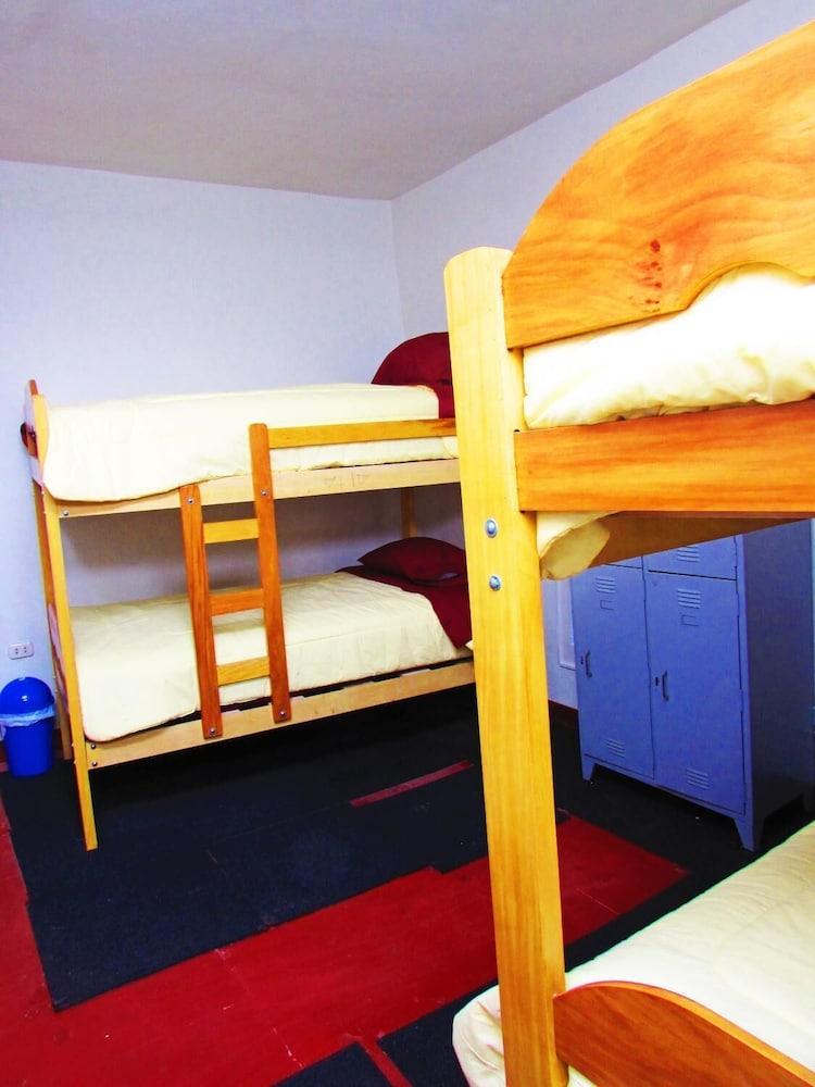 The Grasshopper Hostels AV Alta