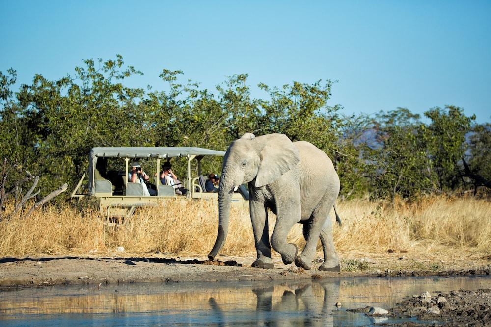 Etosha Mountain Lodge