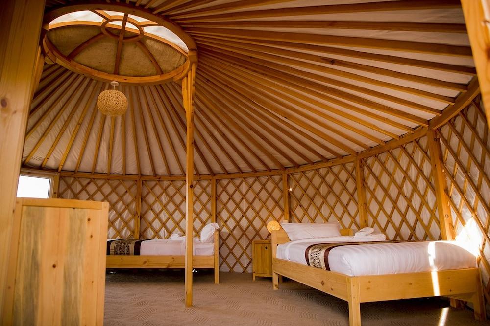 Terelj Star Resort - Campsite