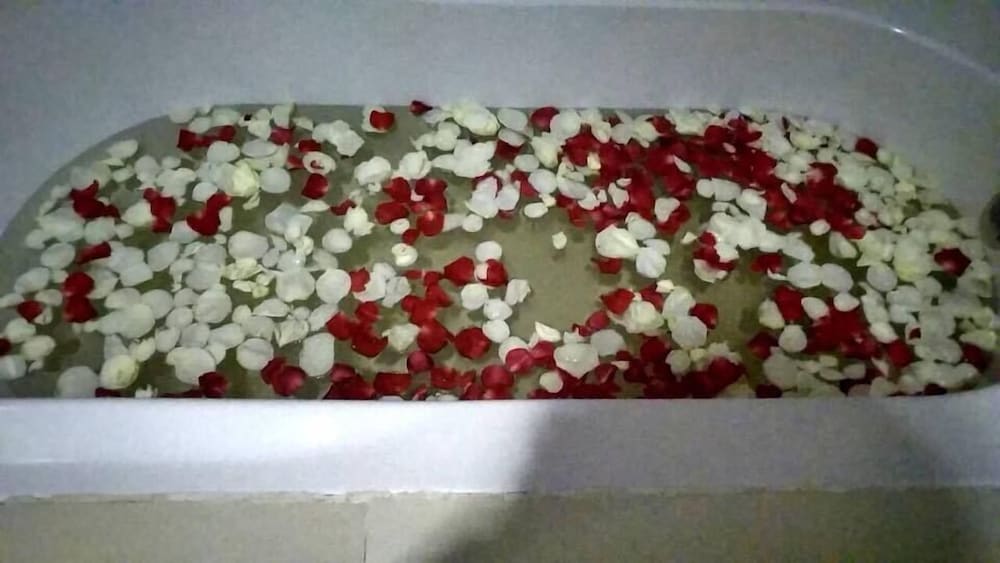 Green Paradise Hotel