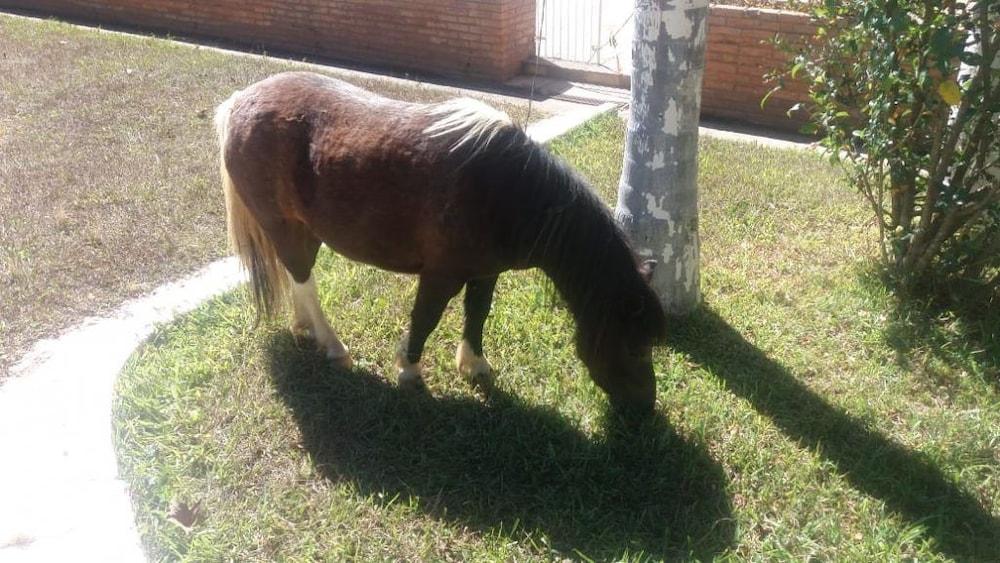 Pousada Recanto do Sossego